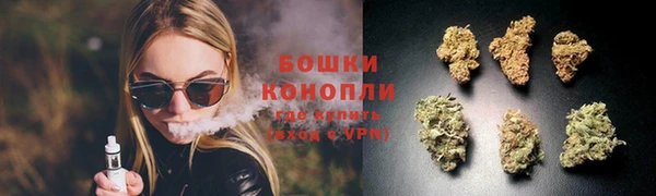 гидра Аркадак