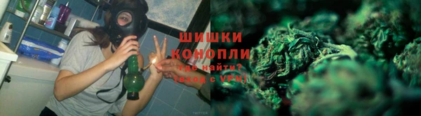 прущие грибы Пересвет