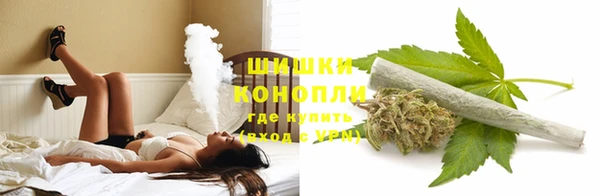 гидра Аркадак